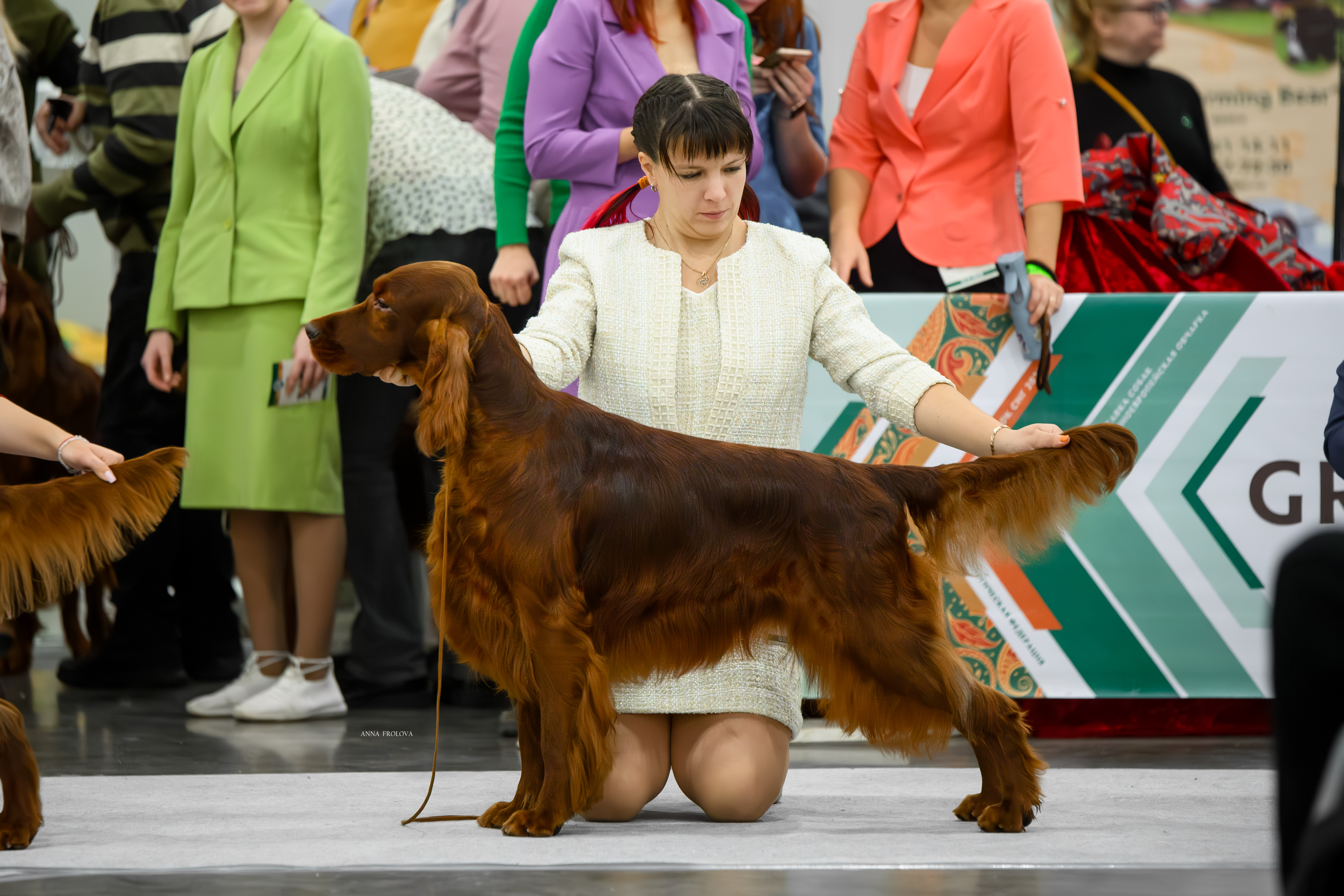 Lucksheray Brandy's Deg